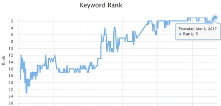 Google Link Network Service