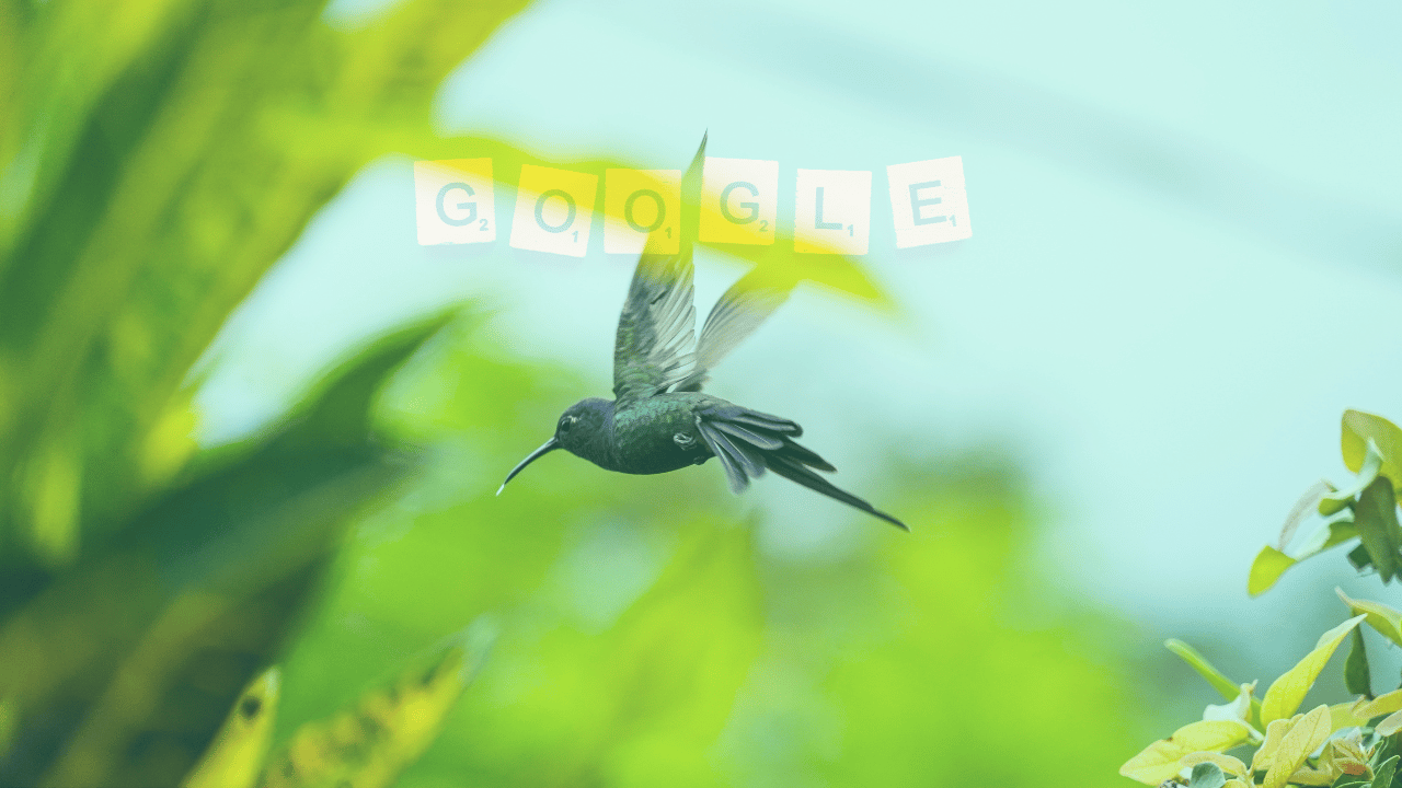 Google Hummingbird algorithm update